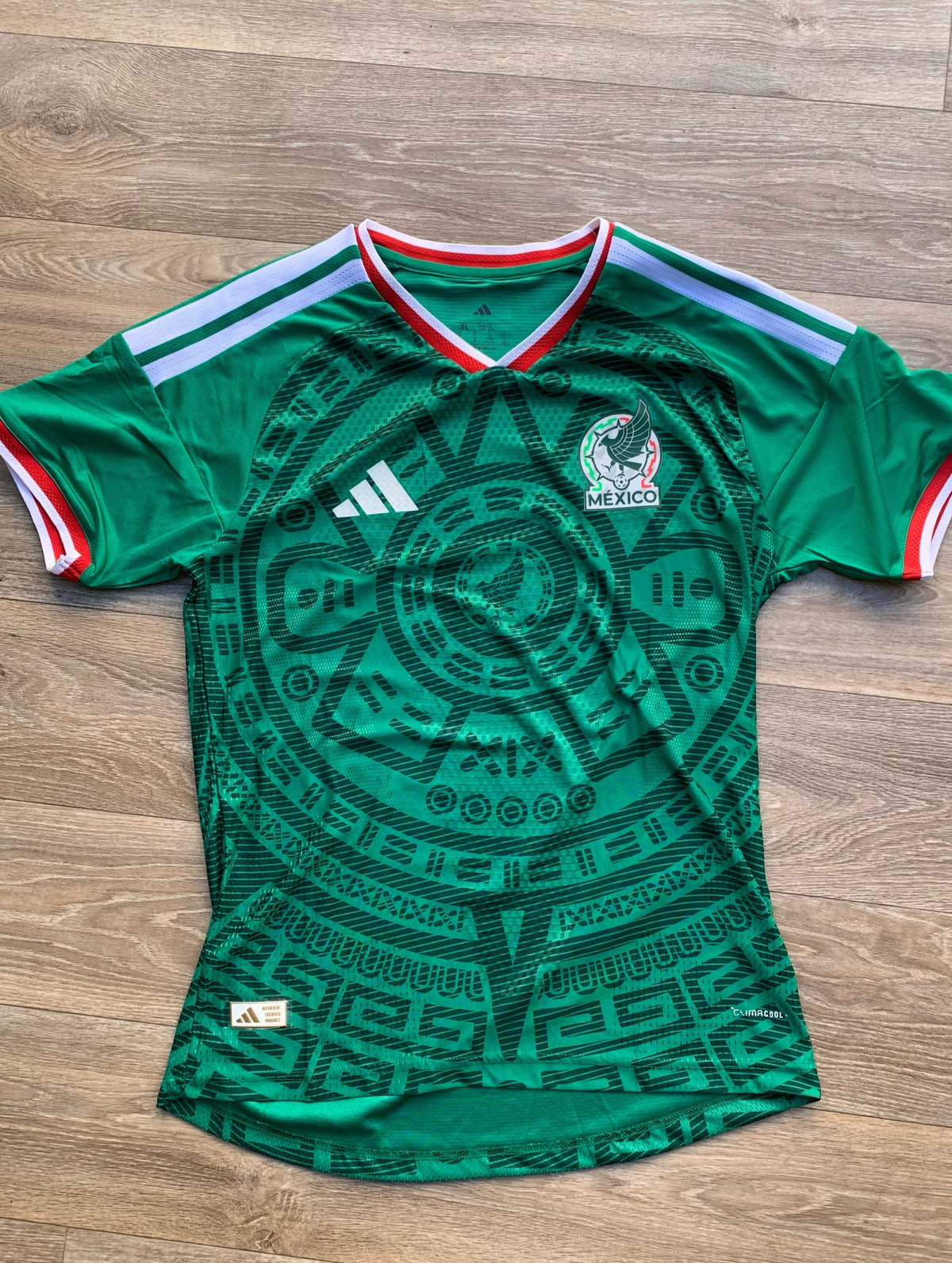 Mexico Home Kit 2026